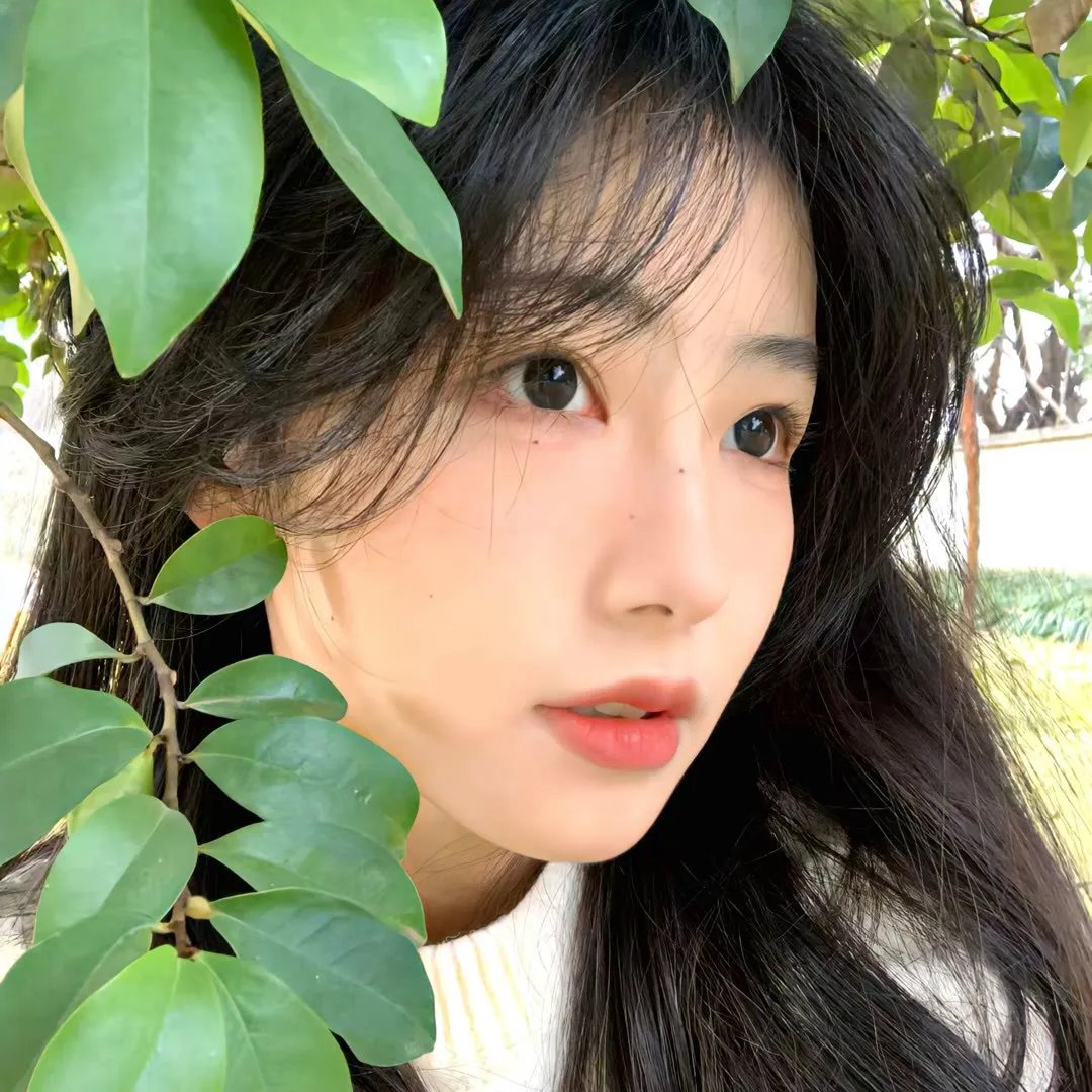 爱与森林